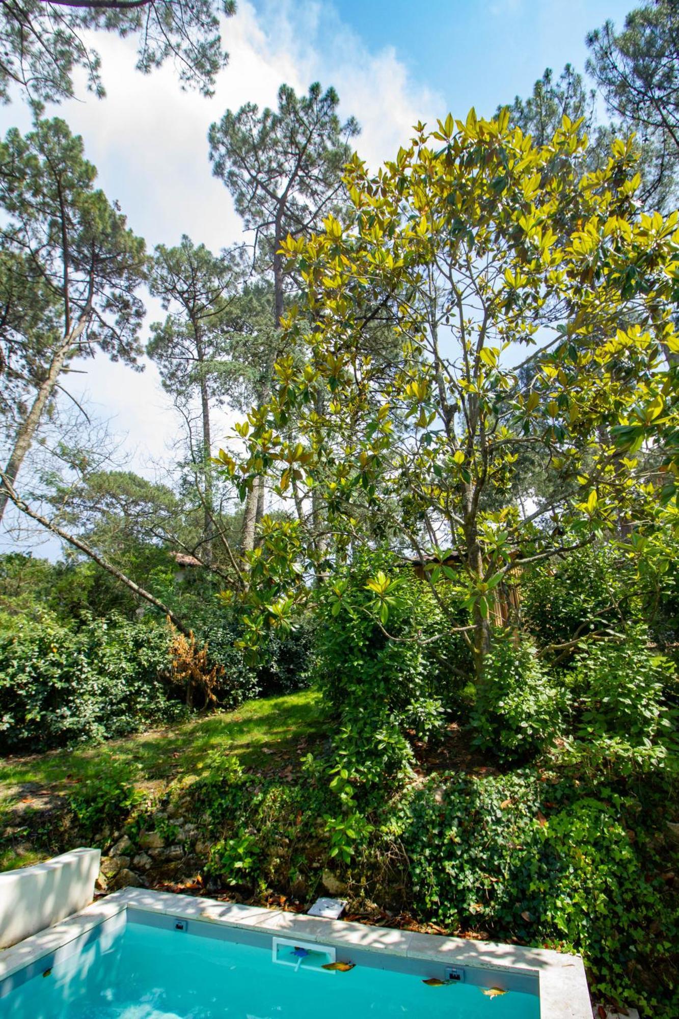 Cabane Foret Proche Plage ピラ・シュル・メール エクステリア 写真